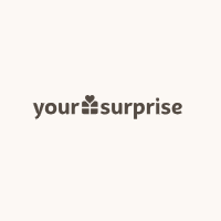 Yoursurprise FR-Discountslikenone.Com